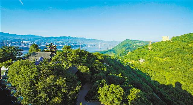 【要闻】重庆长江两岸森林覆盖率达50.2%