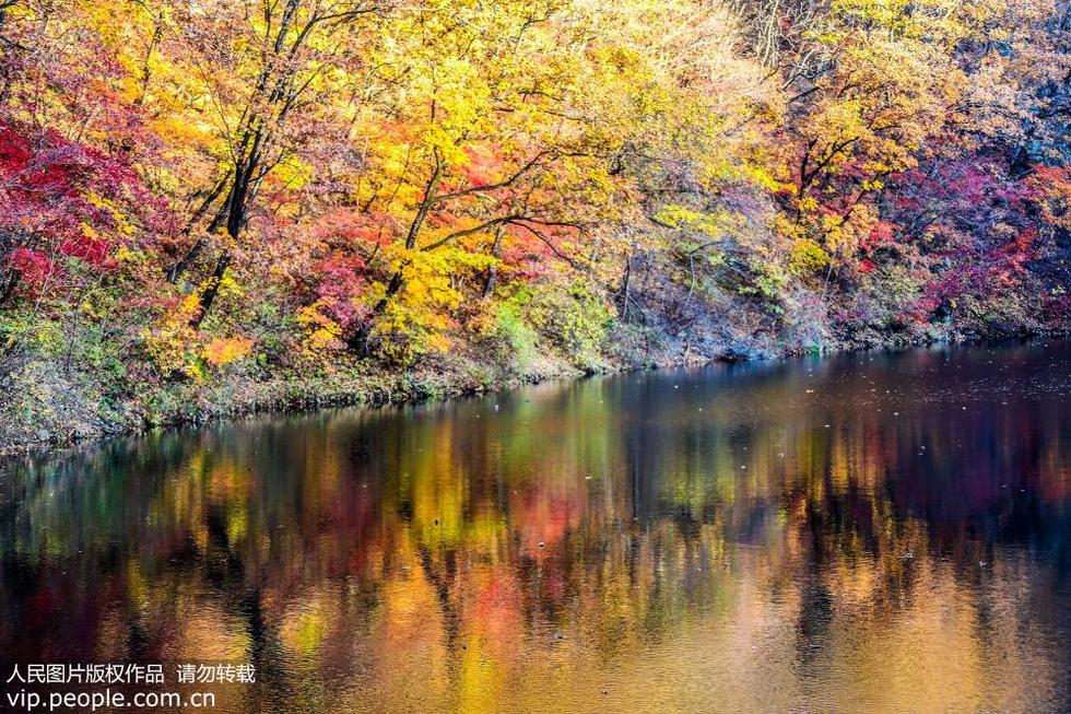 辽宁本溪关门山山风水韵 大自然美丽的调色板