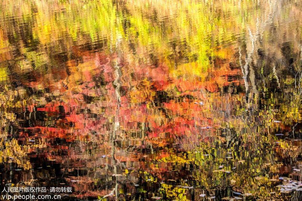 辽宁本溪关门山山风水韵 大自然美丽的调色板