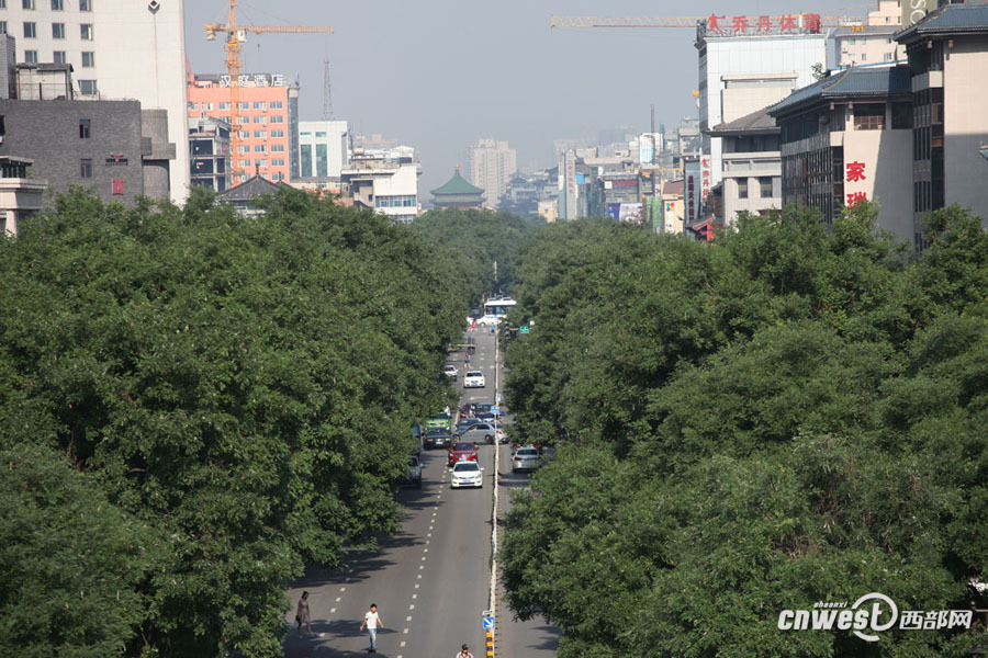 【焦点图 显示图在稿件最下方】西安城里那些因绿而美的路