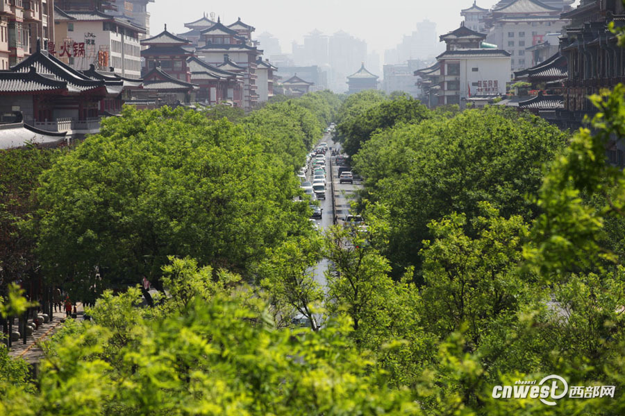 【焦点图 显示图在稿件最下方】西安城里那些因绿而美的路