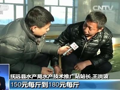 哈爾濱“天價魚”事件追蹤：警方處理過程錄音公佈