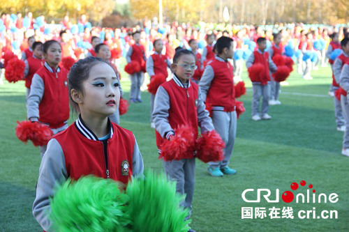 哈尔滨举办首届青少年校园足球文化节