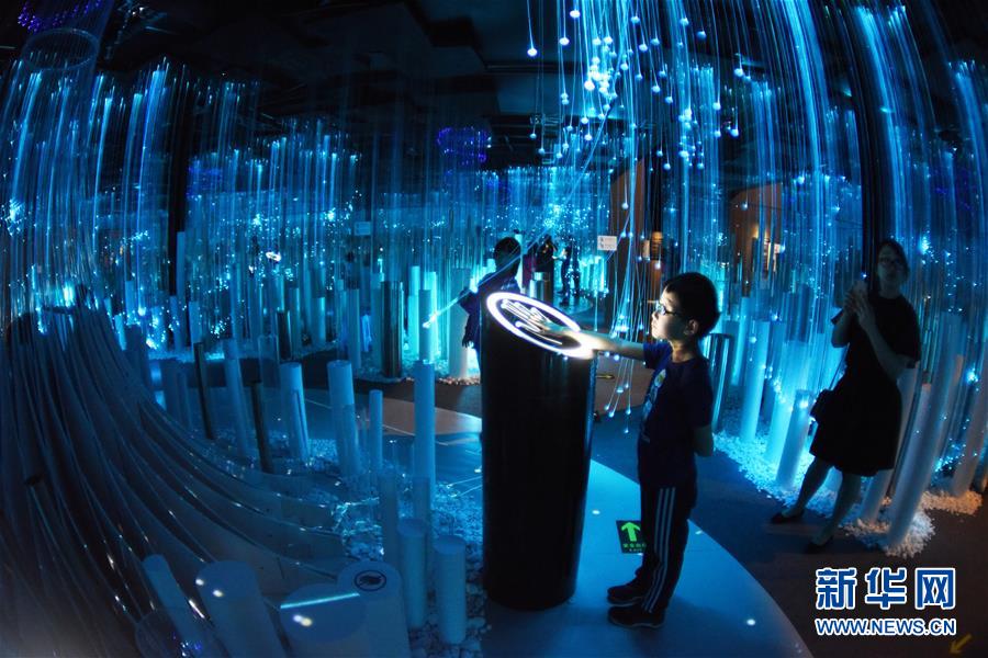 贵阳：数博会举行数字艺术特展