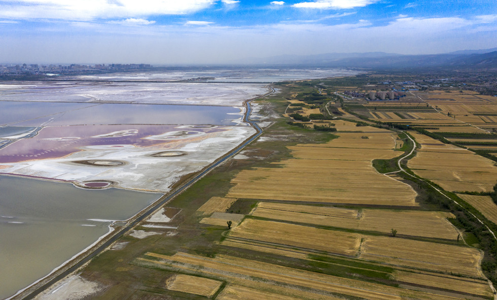 【焦点图】【CRI看山西-列表】【三晋大地-原创】山西运城小麦喜获丰收