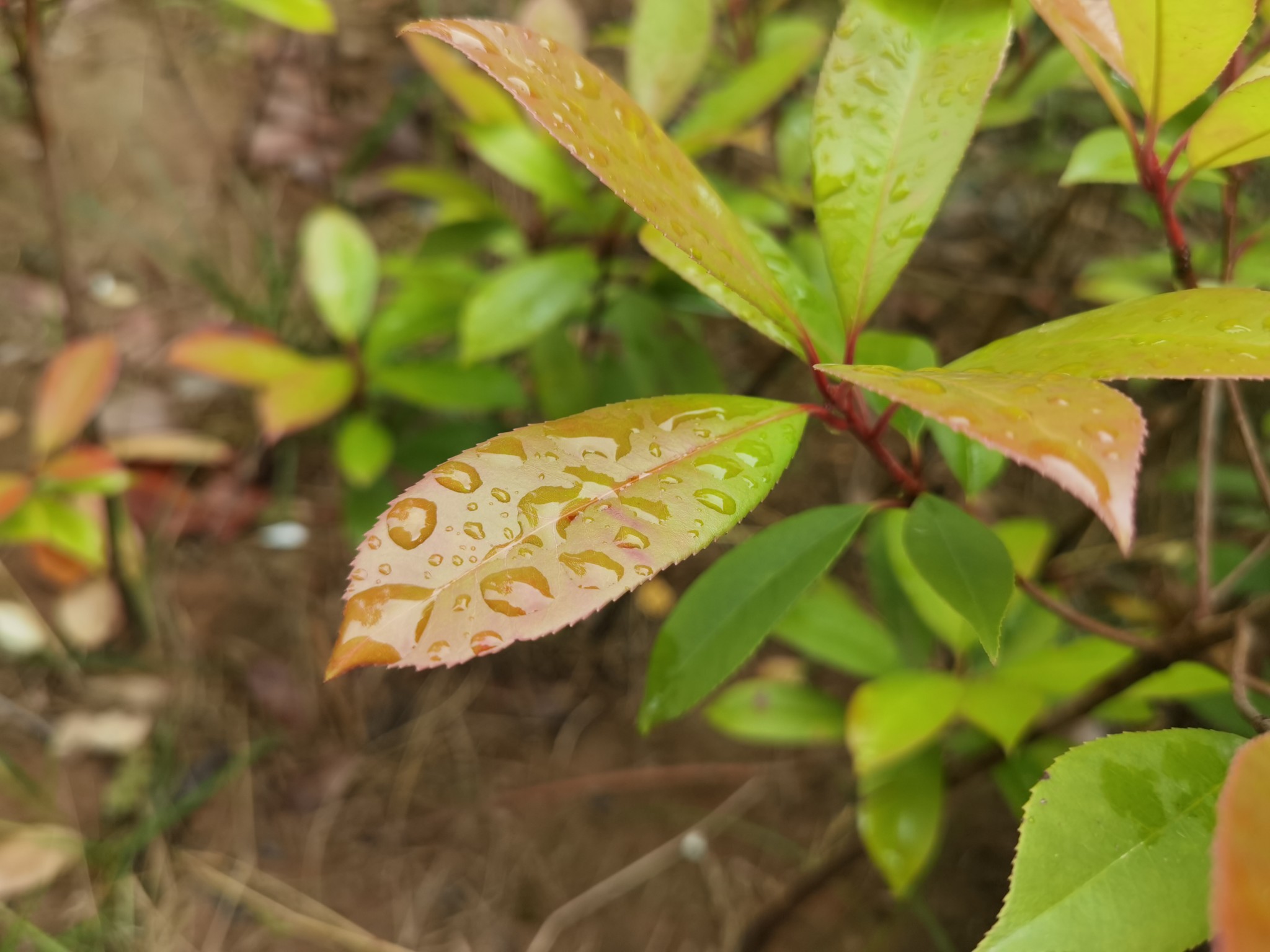 強降雨持續 河南發佈通知全力做好災害天氣防範應對工作