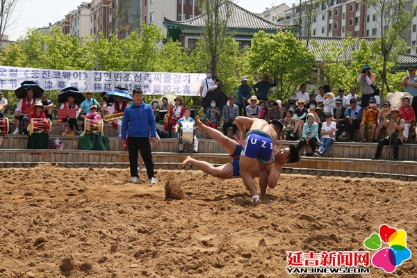 朝鲜族摔跤图片图片