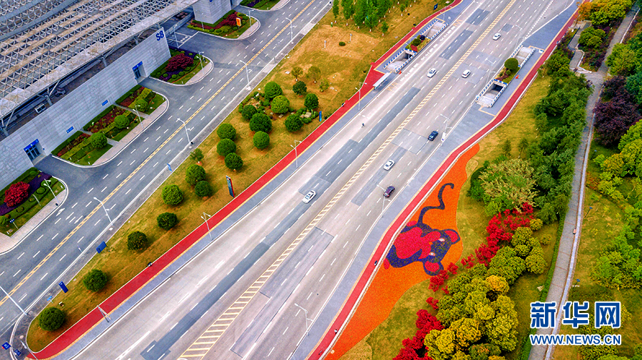 【焦點圖】重慶“鮮花大道”悄然上線 花海長廊演繹城市“色彩美學”