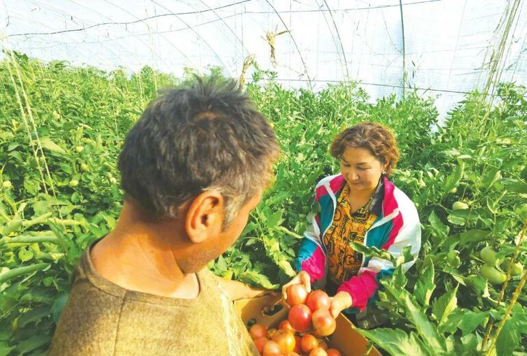 Endüstri sayesinde orta halli refah toplumu geçekleşti_fororder_fe55823fa4434e80b60e78d0bec118bf