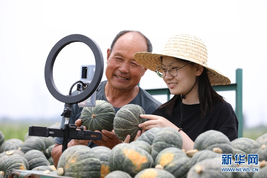 “00后”专业化助农 两周销售20万公斤南瓜