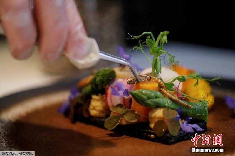Abincin Salad da ke kunshe da wasu tsutsotsi da kwaci a ciki_fororder_e3da9bd58bed4ba3b306616c46b4a66b