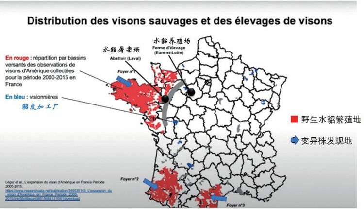 鞠麗雅：法國實驗室證明，法國新冠毒株與中國毫無關係