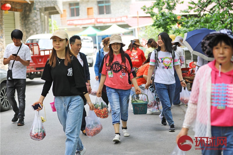 （转载）又到樱桃采摘季 四川茂县迎客来