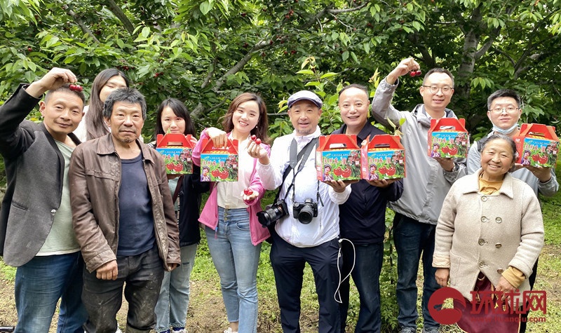 （转载）又到樱桃采摘季 四川茂县迎客来