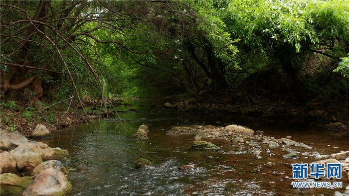 드론으로 촬영한 곤명 송화댐 저수지 모습_fororder_昆明4