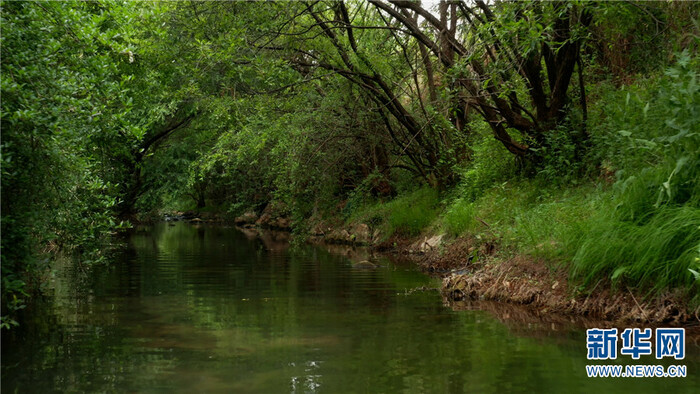 드론으로 촬영한 곤명 송화댐 저수지 모습_fororder_昆明5