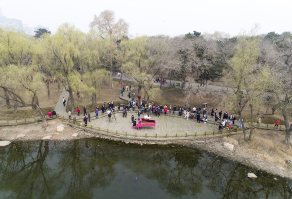 南湖公園美景中“春之聲”在齊鳴