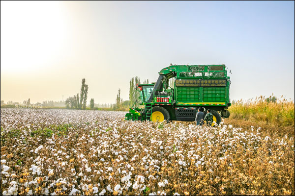 การใช้เครื่องจักรผลิตฝ้ายเป็นสภาพปกติในตอนใต้ซินเจียง_fororder_20210616xjcm1