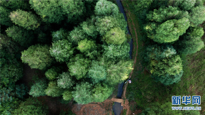 드론으로 촬영한 곤명 송화댐 저수지 모습_fororder_昆明2