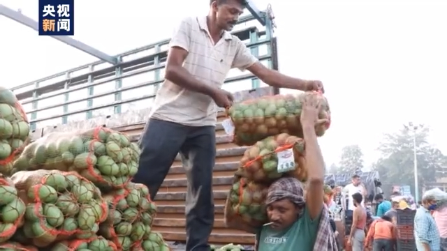印度疫情致蔬菜運銷困難 菜農被迫賤賣棄菜