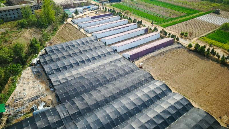 OK【河南供稿】河南靈寶函谷關鎮:助力企業練“內功” 經濟就業雙穩定