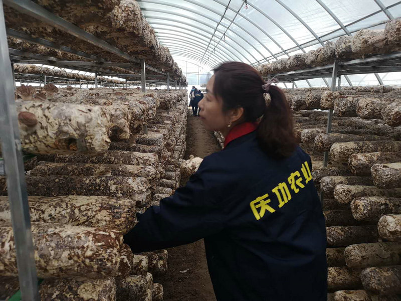 OK【河南供稿】河南靈寶函谷關鎮:助力企業練“內功” 經濟就業雙穩定