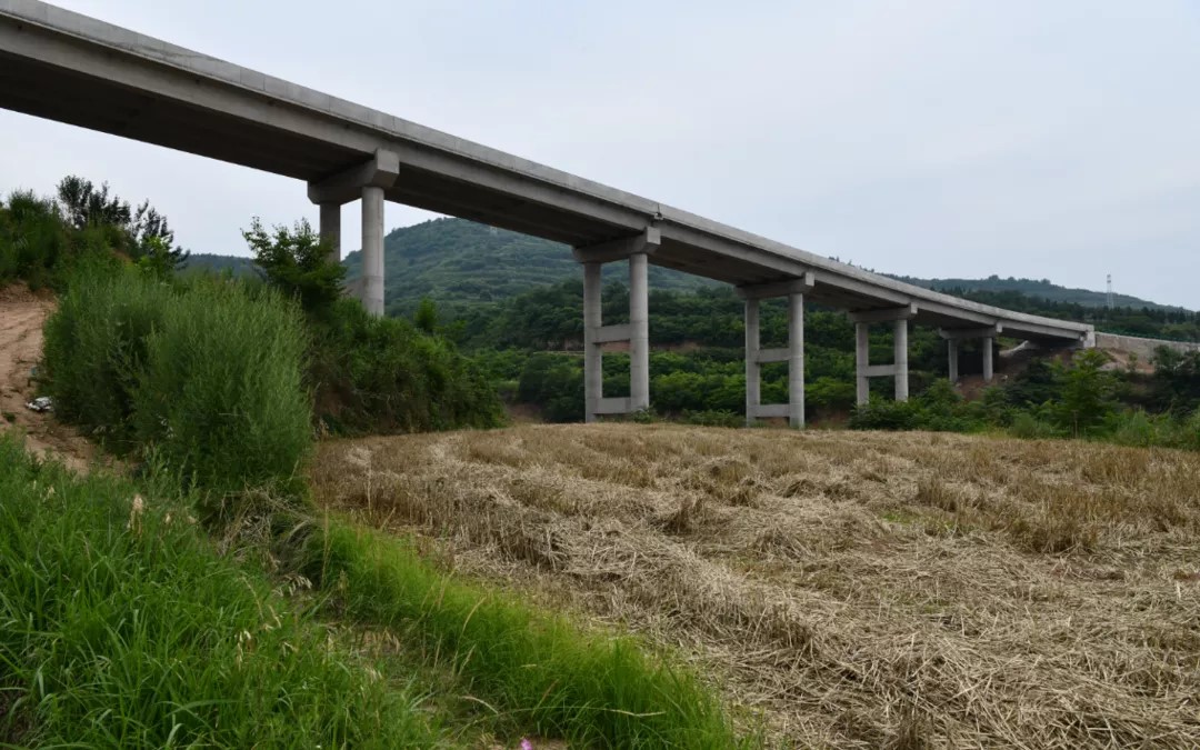 一路连三塬天堑变通途 宝鸡市金台区222省道多段市区过境公路贯通_fororder_1 (3)