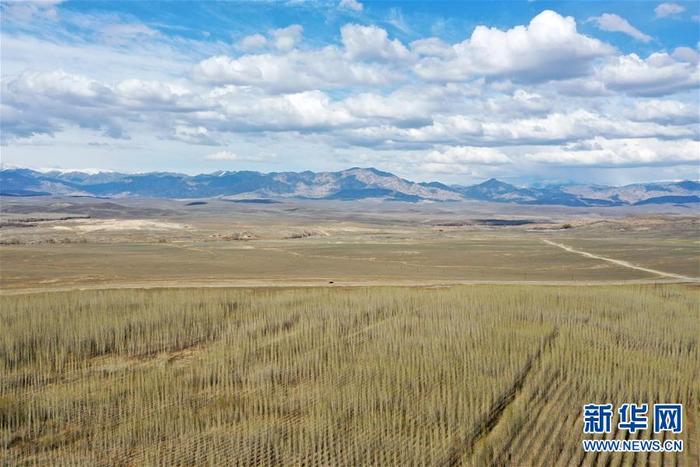 图片默认标题_fororder_4