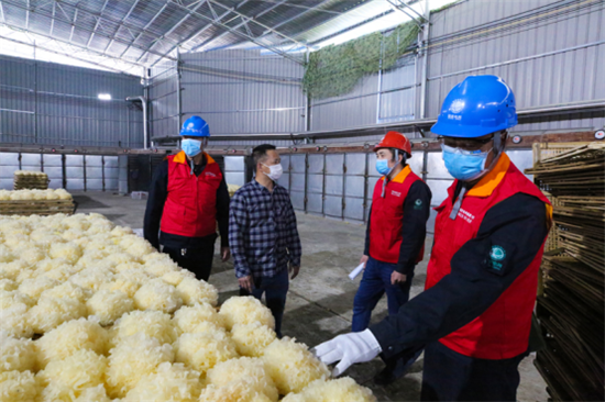 宁德：脱贫攻坚中的电力脉动