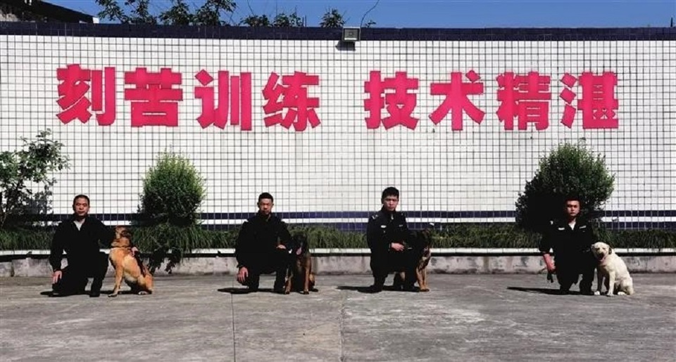 這支民警和警犬組成的警隊是公安部先進集體_fororder_1