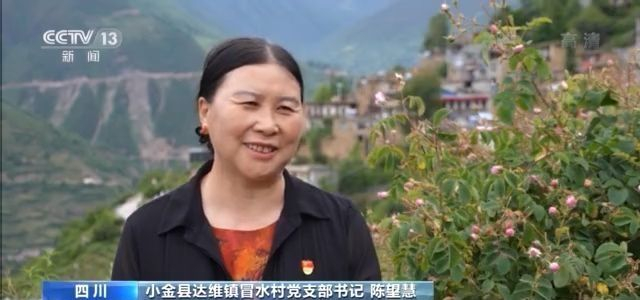 玫瑰花铺出致富路 这个小县城花香四溢→