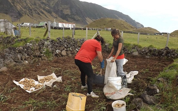世界最偏僻岛屿招聘农夫