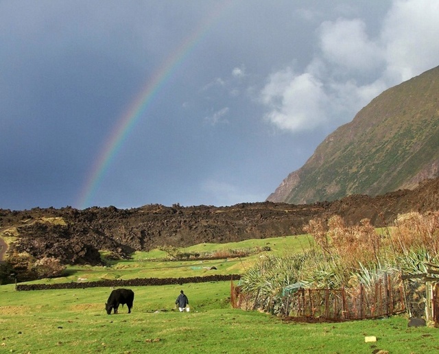 世界最偏僻岛屿招聘农夫