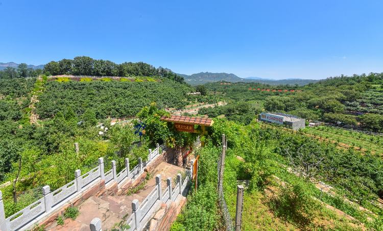 网络媒体革命老区行邢台市信都区前南峪村从穷山沟到太行明珠