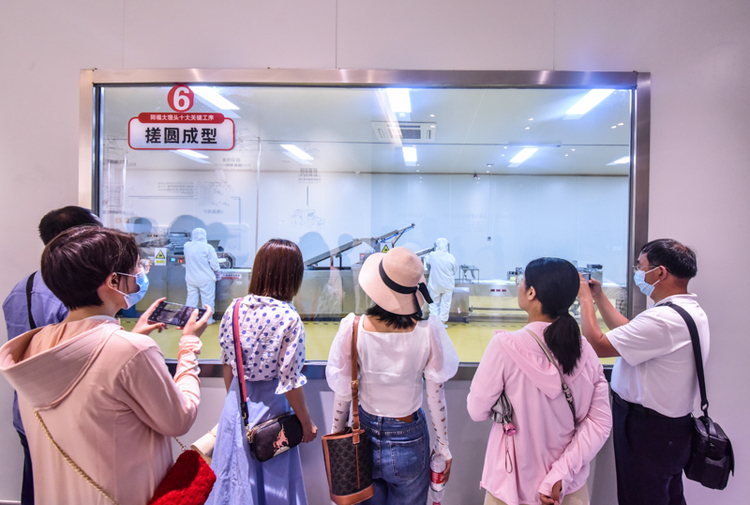 【网络媒体革命老区行】正定县塔元庄：产业融合加速“蝶变”_fororder_DSC_9595