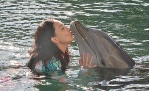 牛莉水中亲吻海豚嘴部 网友：画面好有爱