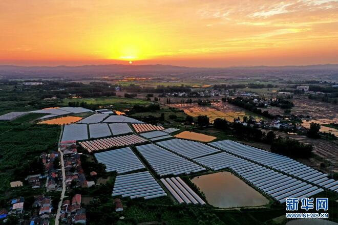 Tuaian Gabungan Penanaman dengan Pembiakan_fororder_6a