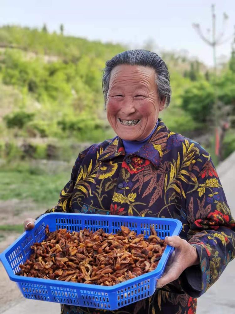 围绕一口老井 讲好一个故事 大众网·海报新闻作品《老井新生》刷屏了