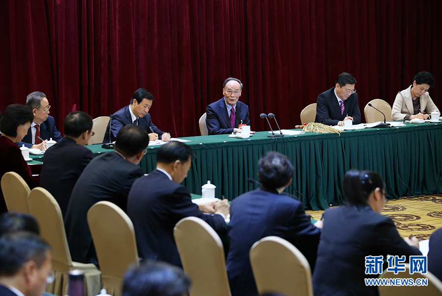 王岐山在参加党的十九大湖南省代表团讨论