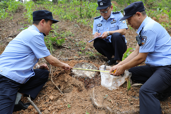 打早打小 荆门警方严打森林资源犯罪守护生态安全_fororder_图片3_副本