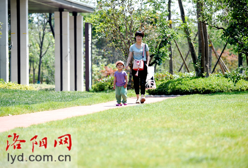 洛阳市老城区再添一处小游园