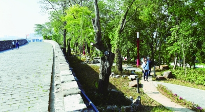 （环保图文）南京城墙修缮有了“标准” 技术导则近日出炉