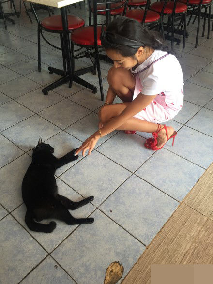 吉克隽逸游泰国清凉上阵 路遇黑猫欲比肤色