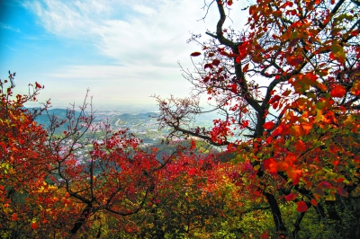 你所不知道的北京香山：真实海拔575米 曾称杏花山