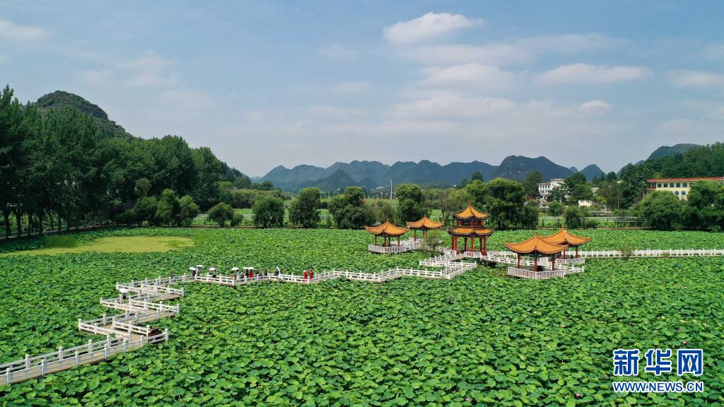 （中首）黔西南安龙县：十里荷塘荷花开