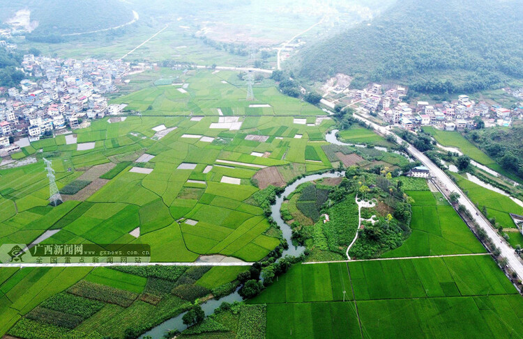 广西罗城：稻田村庄相映成趣 绘就美丽田园画卷