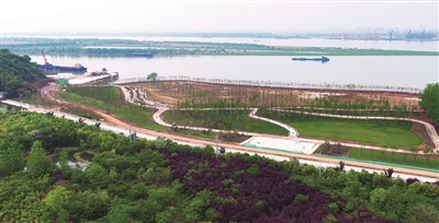 （头条）长江滨江岸线上绿植密布