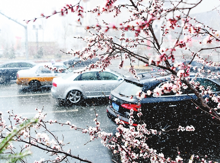 吉林省多地迎来降雪天气