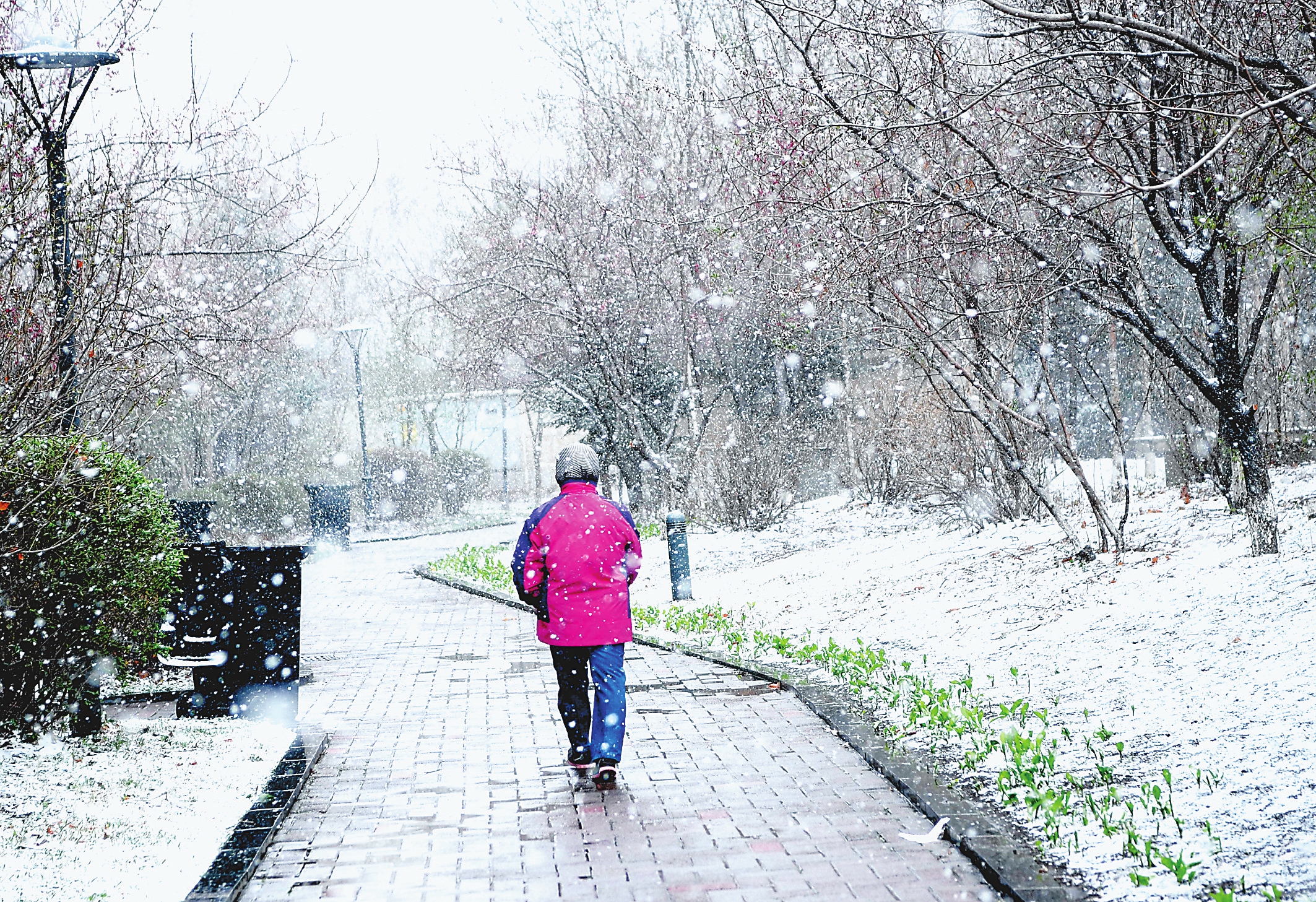 吉林省多地迎来降雪天气