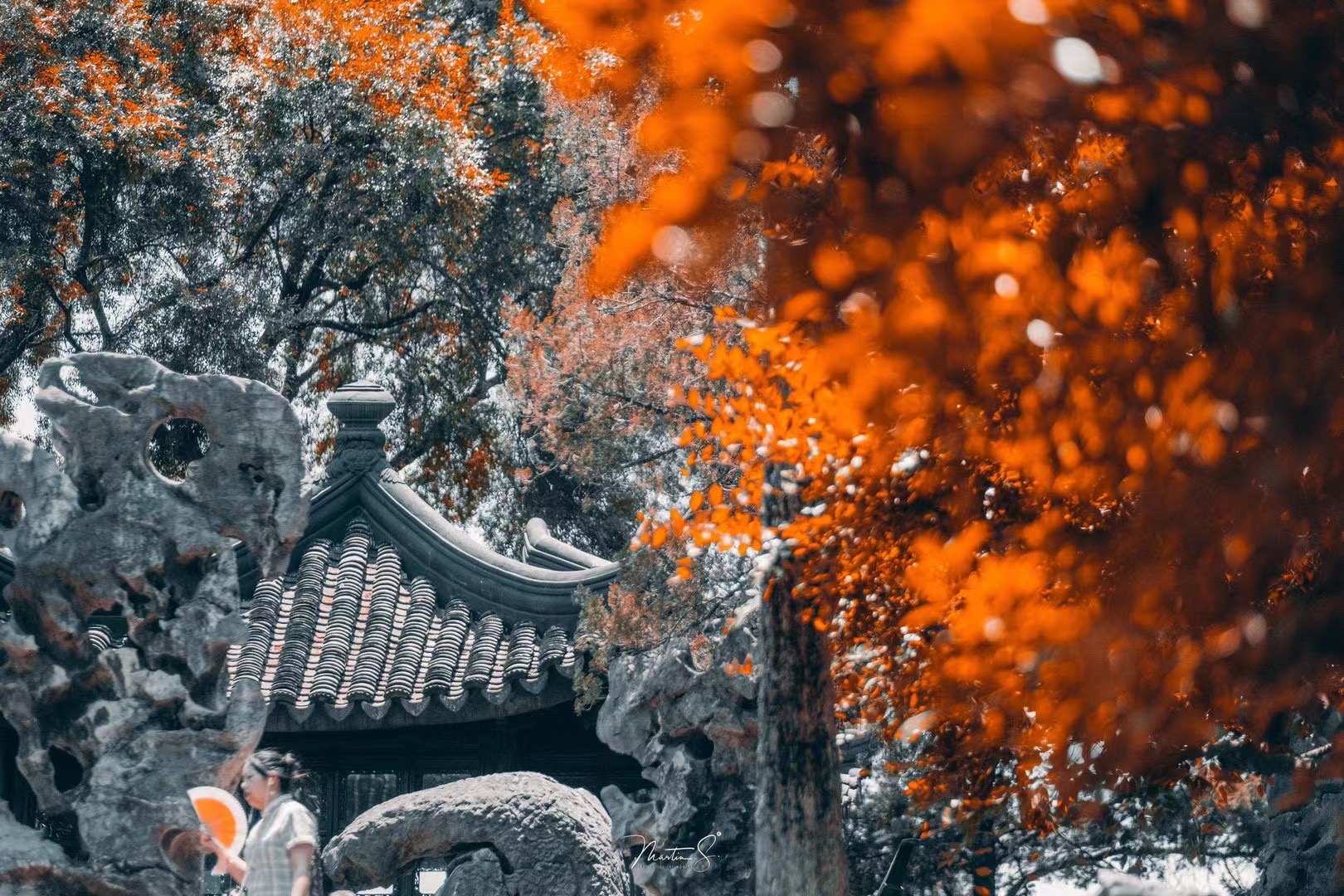 知名摄影师眼中的苏州是什么样子？_fororder_微信图片_20210706175930